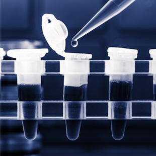 Molecular Diagnostics